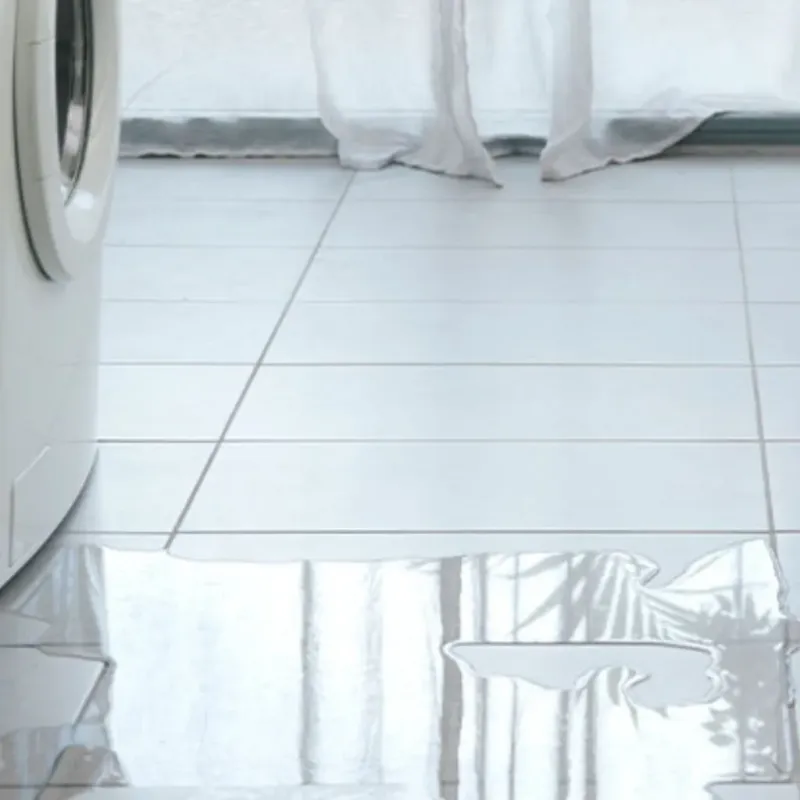 Appliance Leak Cleanup in Clinton, IL