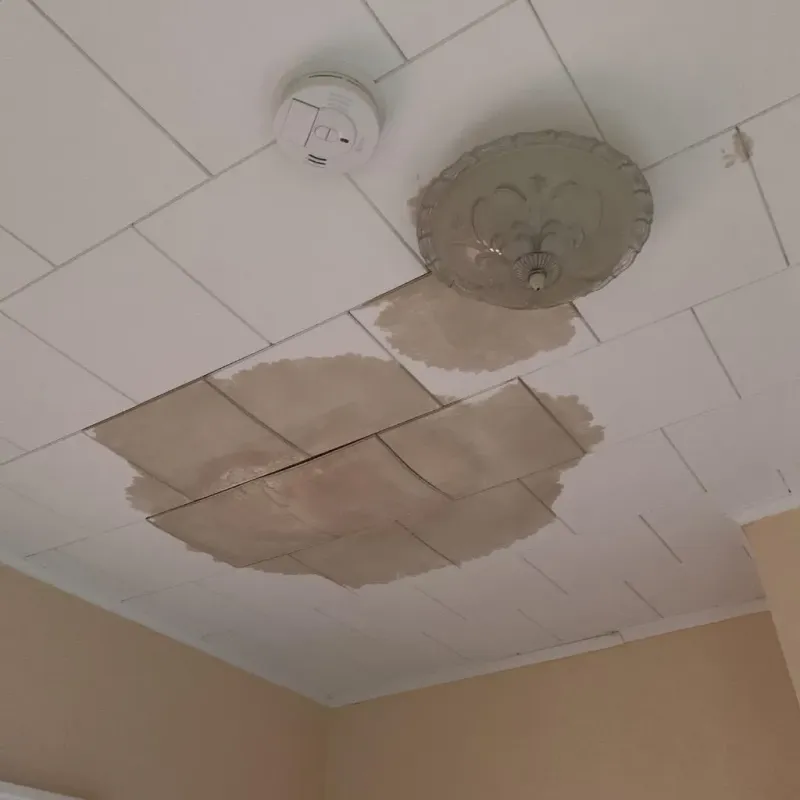 Ceiling Water Damage Repair in Clinton, IL