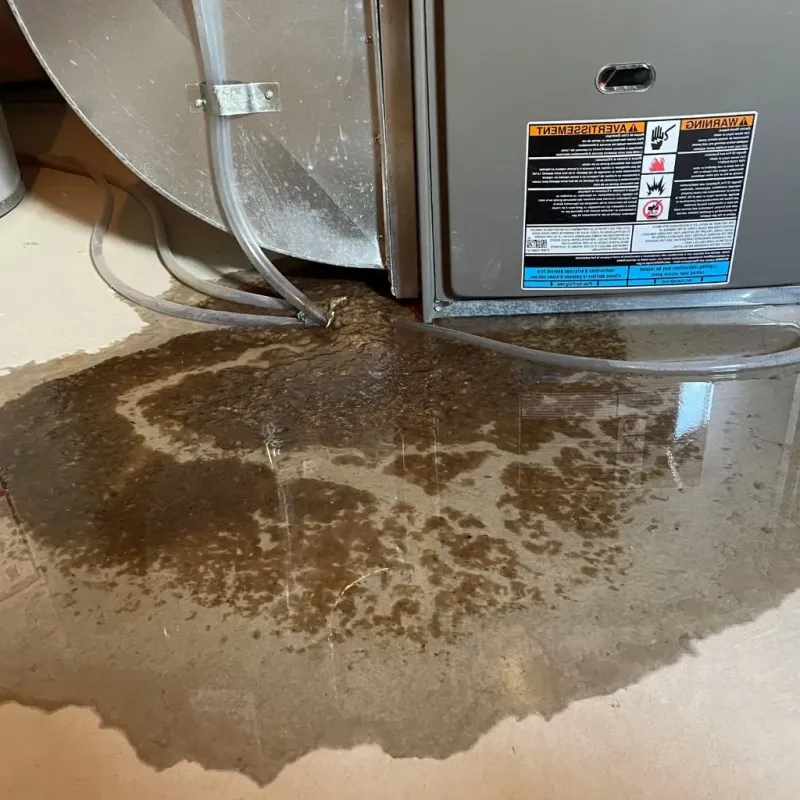 Pipe Burst and Leak Restoration in Clinton, IL
