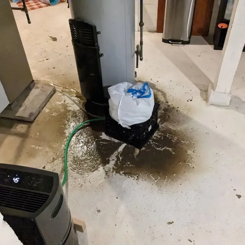 Sewage Backup Cleanup Service in Clinton, IL
